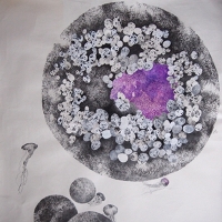 Coïncidence gamètique